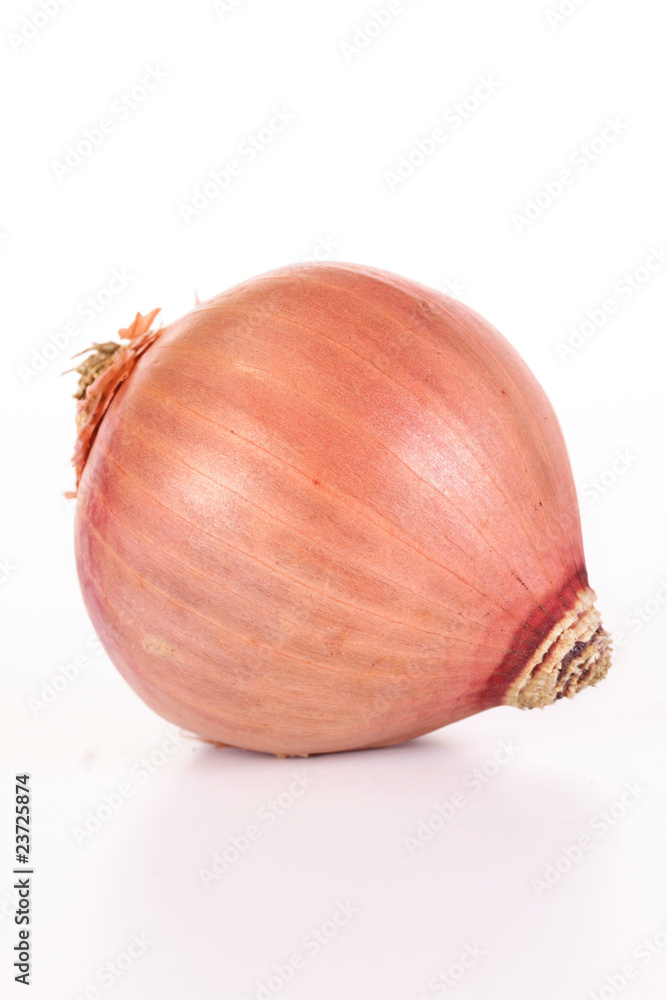 Red onion on white