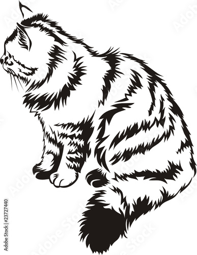 contour image of striped cat