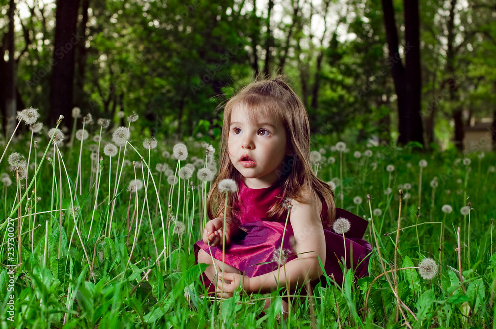 Beautiful little girl on a lawn with dandelions Beautiful little girl on a lawn with dandelions