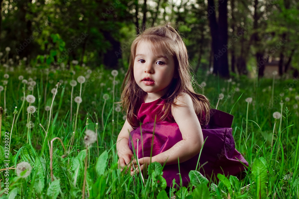 Beautiful little girl on a lawn with dandelions