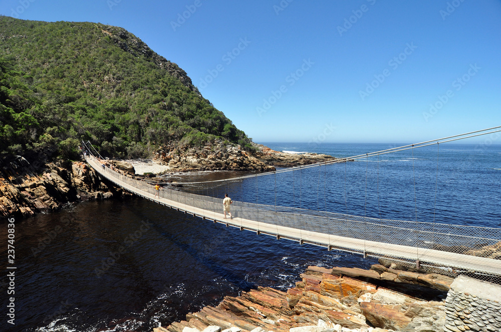 Obraz premium South Africa - Tsitsikamma Naional Park