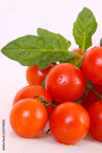 tomaten,coctailtomaten