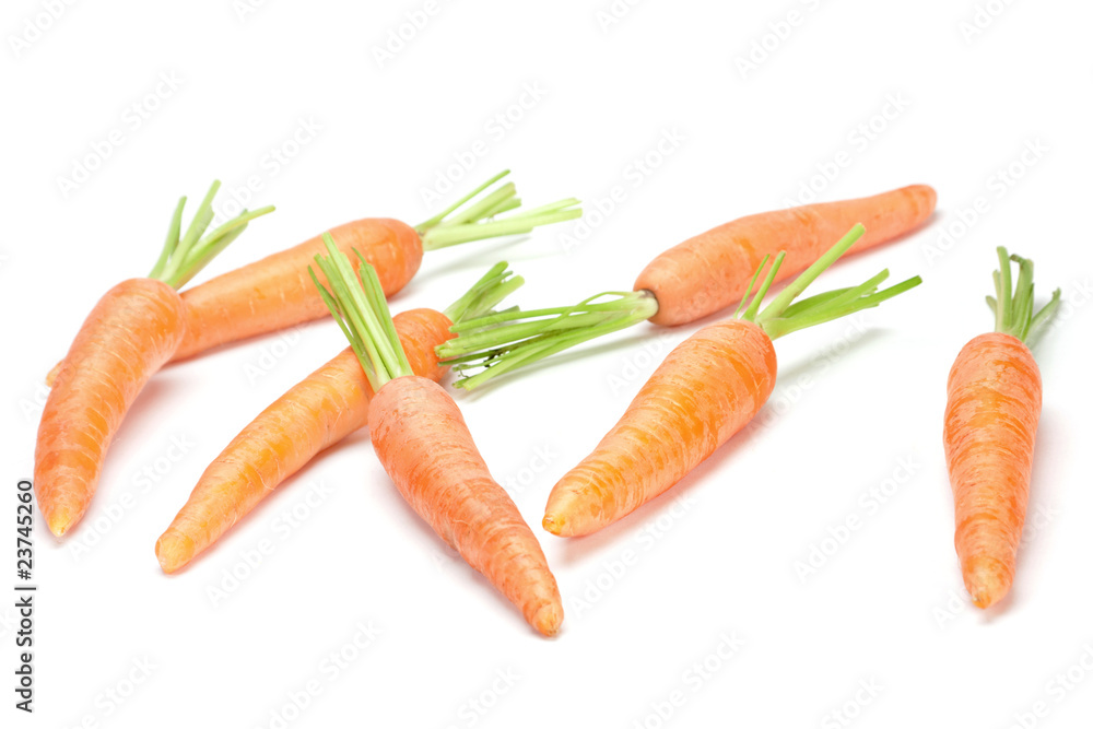 Carrot vegetable on white