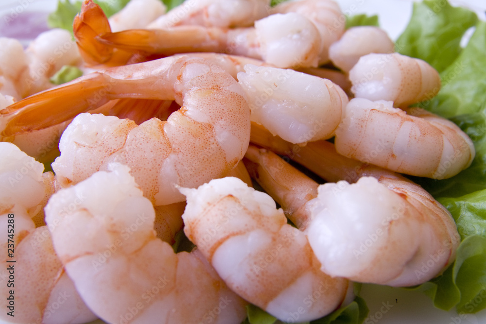 Shrimps close-up with salad on plate Shrimps close-up with salad on plate