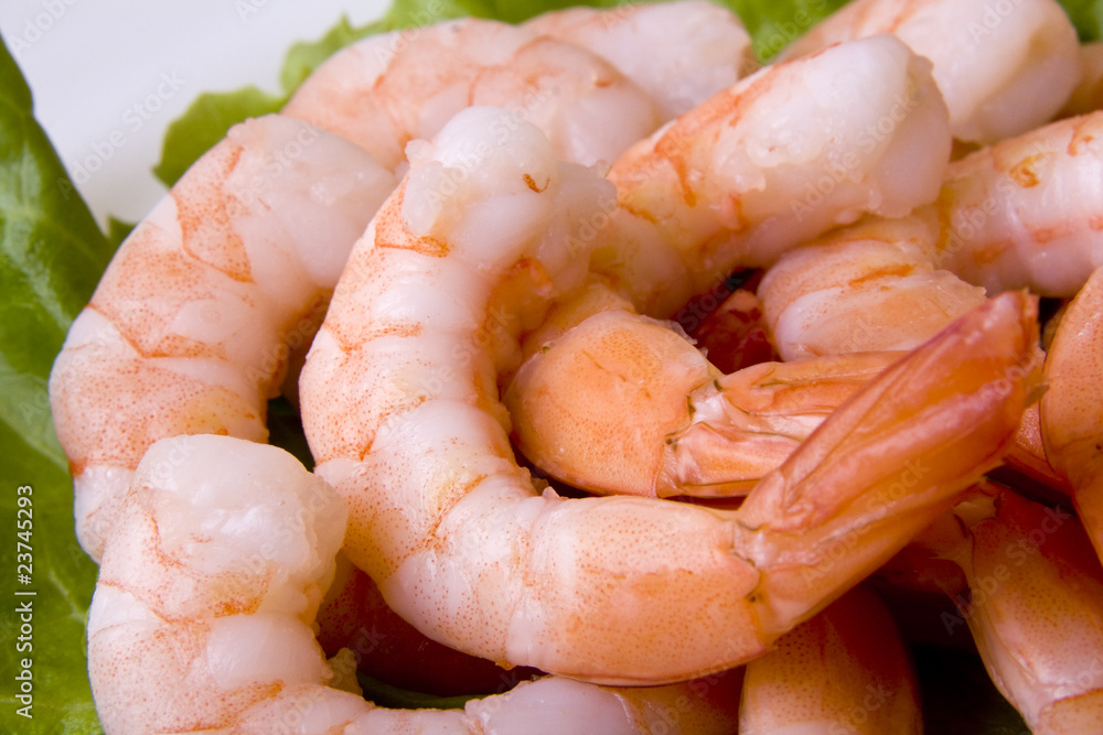 Shrimps close-up with salad on plate