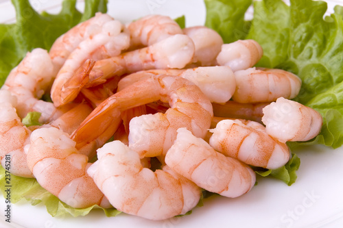 Shrimps