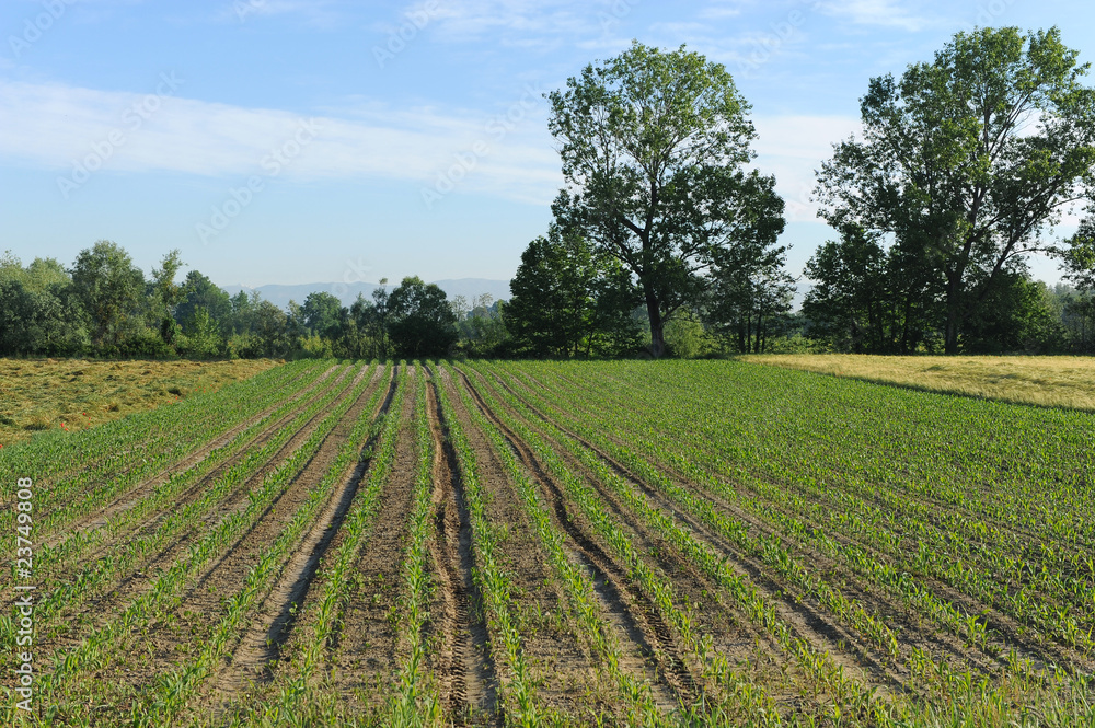 Obraz premium krajobraz 1105