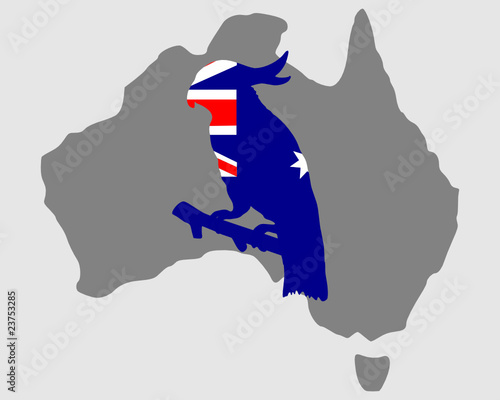 Australischer Kakadu