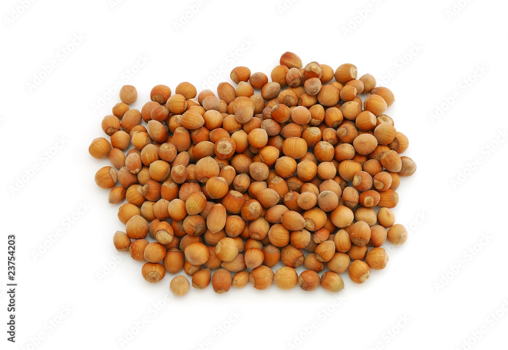 Hazelnuts Hazelnuts