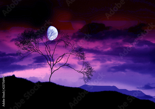 The full bright moon.