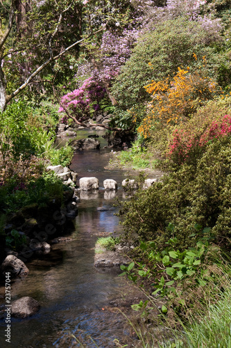 Bodnant Garden