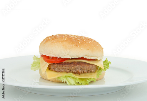 assiette et hamburger