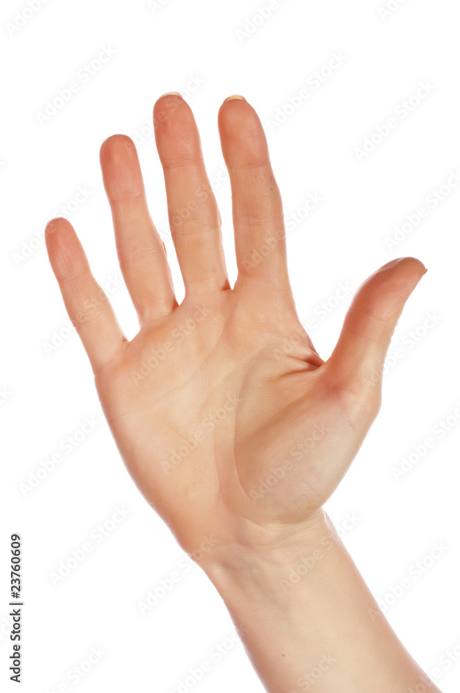 Various signs hands and palms