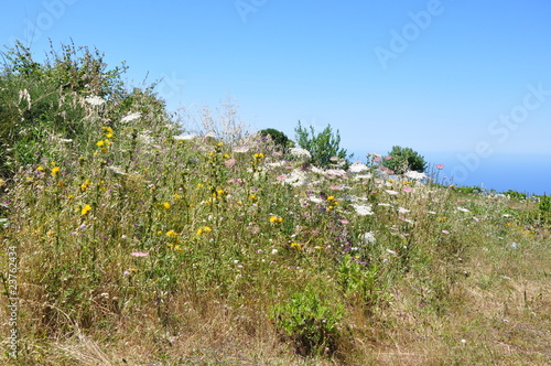 surles routes....la kabylie photo