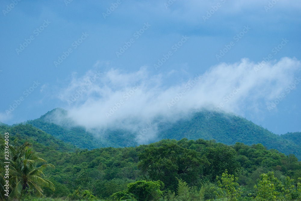 Tropical rain forest during monsoon season Tropical rain forest during monsoon season