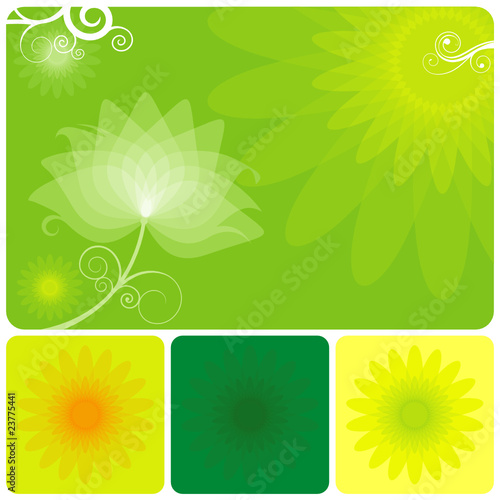 Abstract Green floral background of summer.