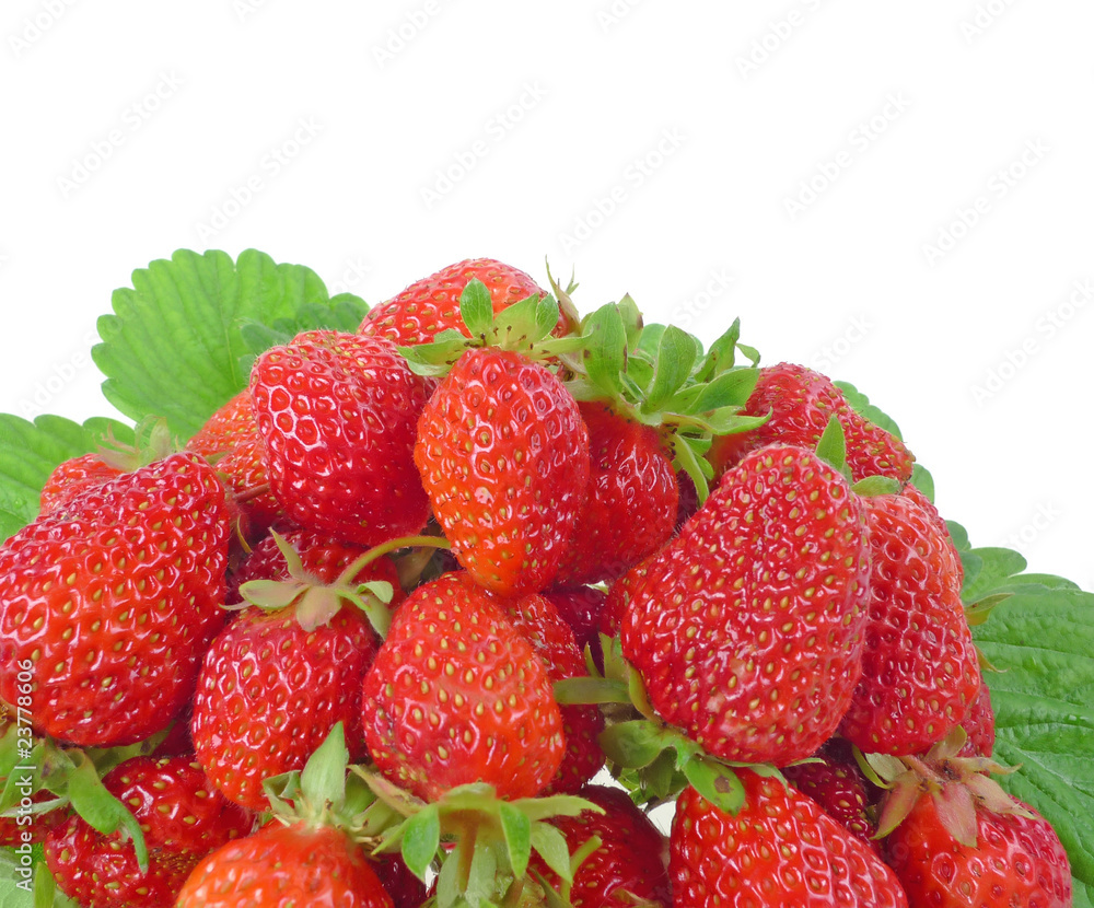 strawberries strawberries