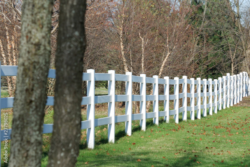 White Fence Into the Distance