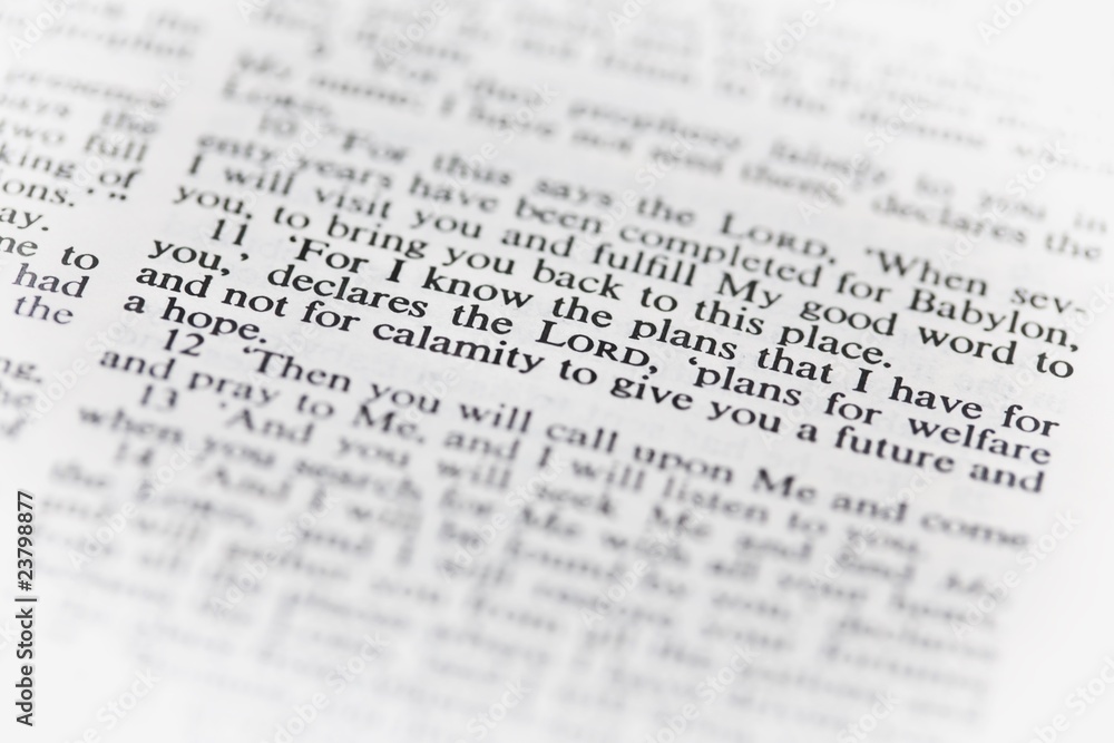 The New American Standard Bible Open To Jeremiah 29:11 The New American Standard Bible Open To Jeremiah 29:11