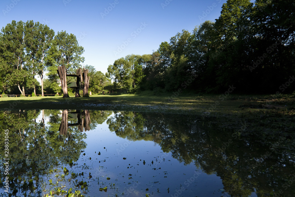 Obraz premium Trees reflect off the water.
