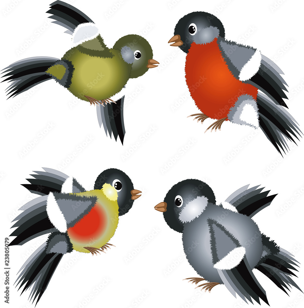 Fototapeta premium Set birds