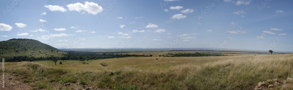 Grasland Grasland