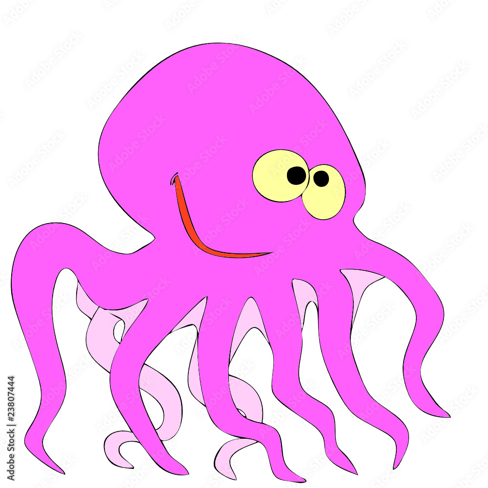 octopus octopus