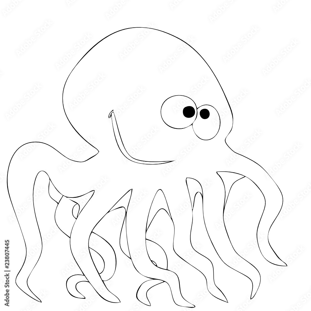 octopus octopus