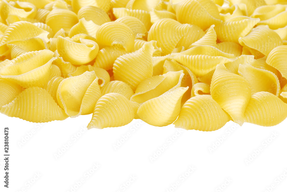 isolated shell pasta isolated shell pasta