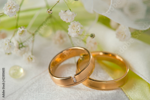 Two wedding rings with white flower in the background.