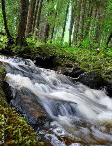 wooden stream