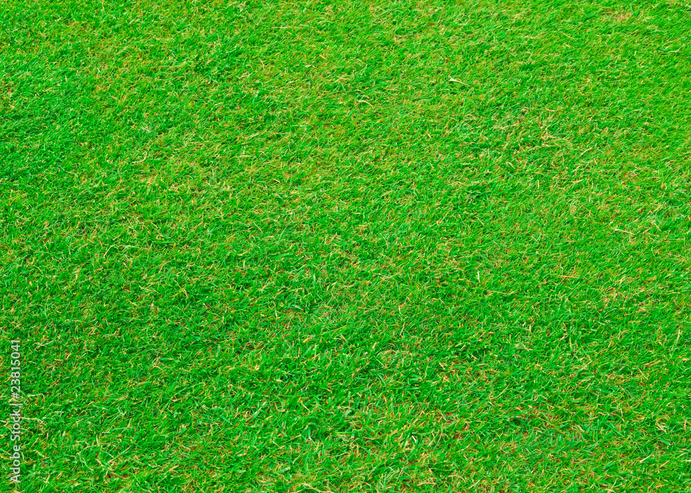 Fototapeta premium Golf cource background
