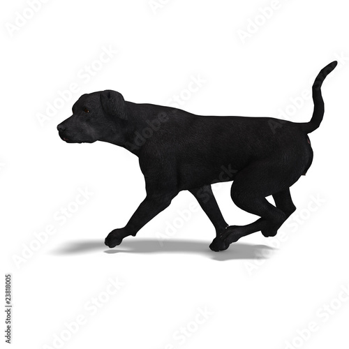 Fototapeta Naklejka Na Ścianę i Meble -  Labrador Retriever Dog. 3D rendering with clipping path and shad