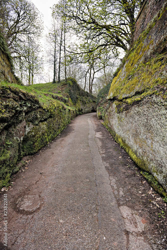 Altenbourg pathway through moss-covered sandstone rocks