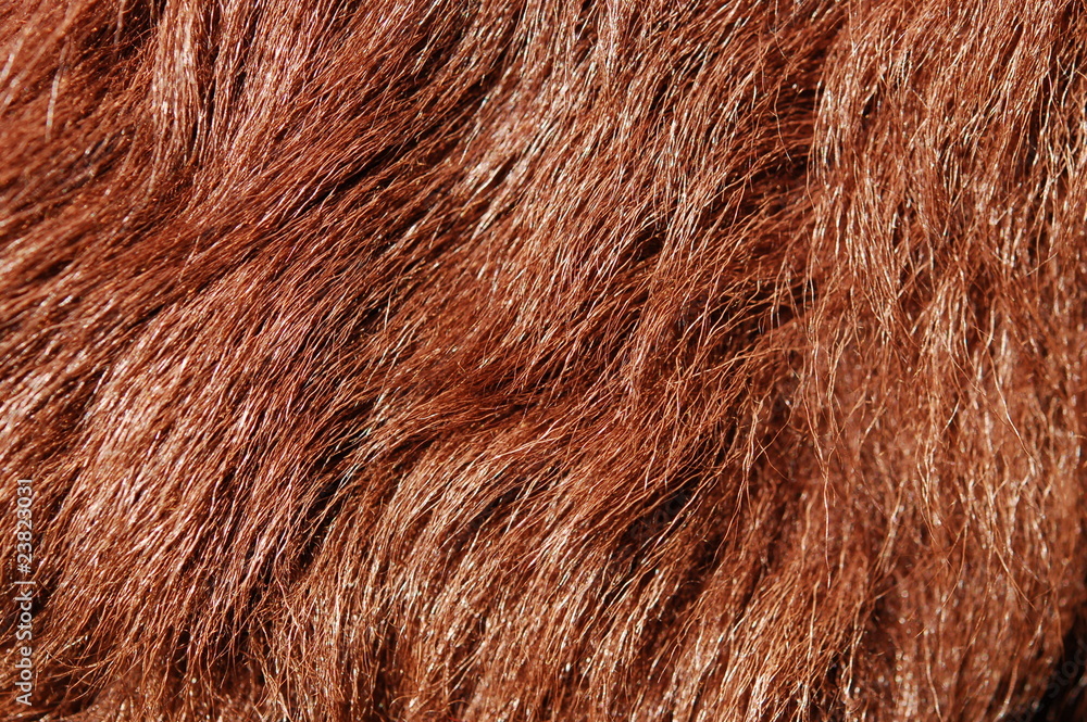 Fototapeta premium Artificial fur
