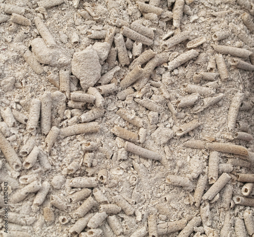 Fototapeta Burned incense sticks
