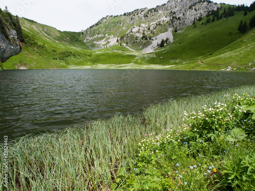 Lac d'Arvouin et fleurs des Alpes photo