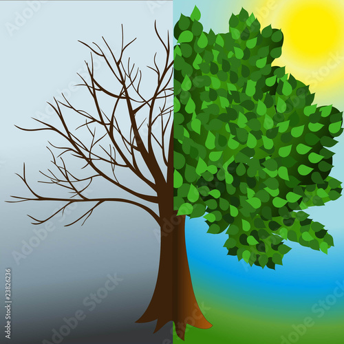 Winter and summer