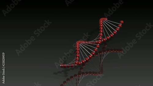 SpinDNA