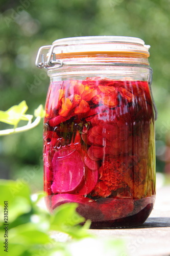 Fototapeta Naklejka Na Ścianę i Meble -  Fleurs en bocal