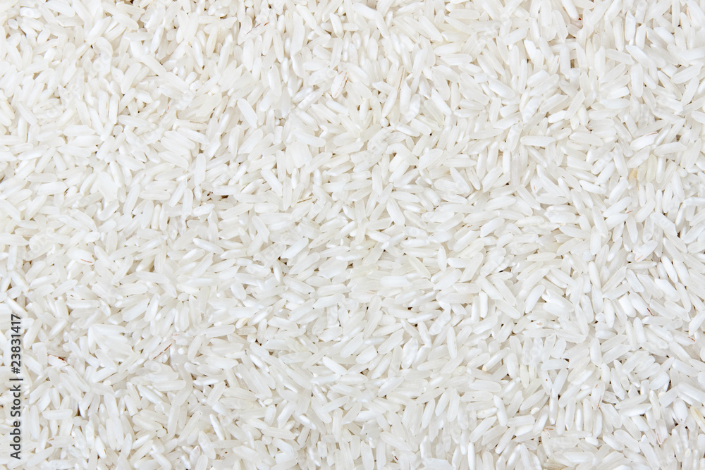 rice rice