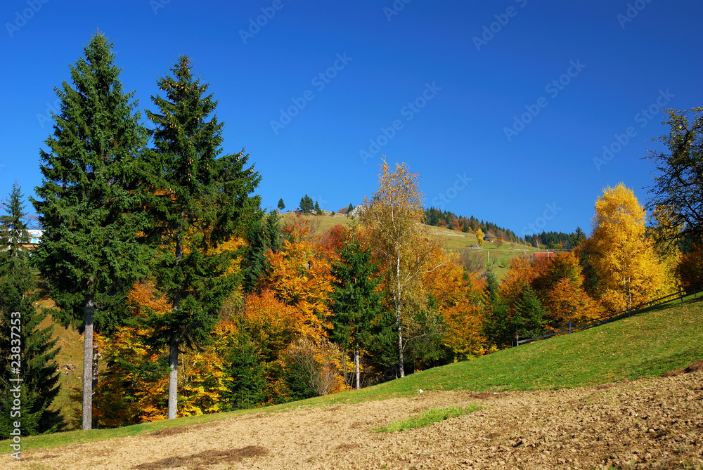 Autumn landscape in Carpathian Mountains, Romania