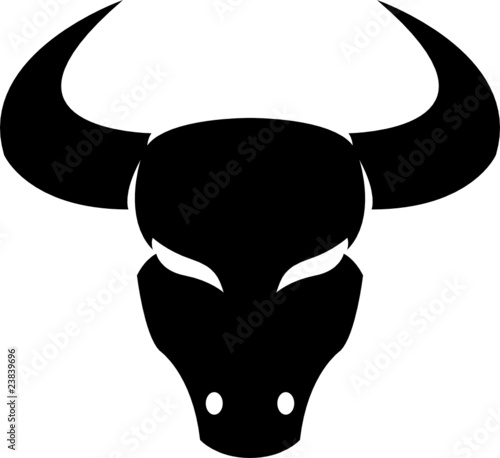 Black taurus isolated on white