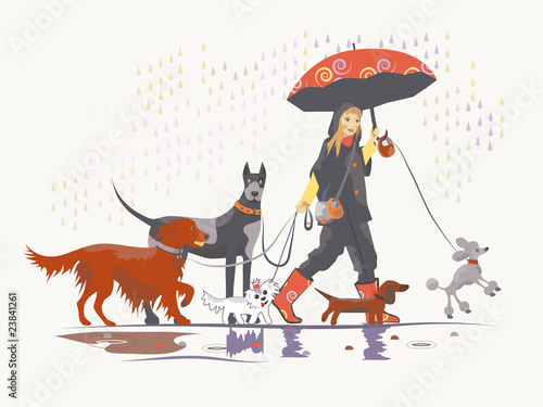 Girl, dog walker, taking pack of dog for a walk.
