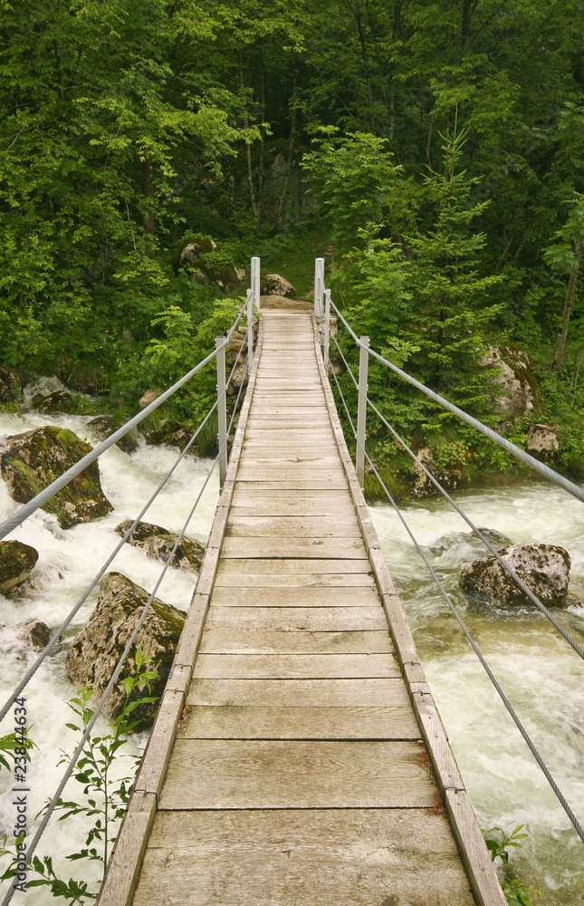 wooden footbridge