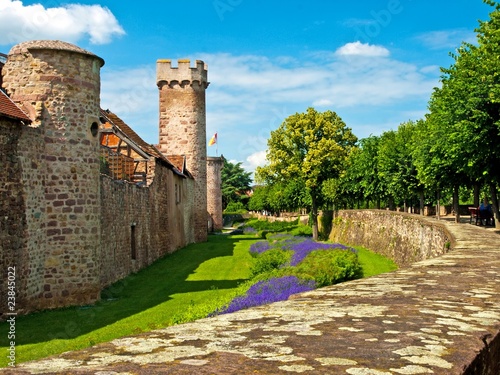 Burg in Obernai Frankreich
