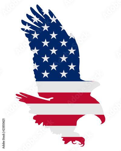 Amerikanischer Weißkopfseeadler