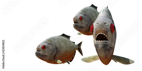 Canvastavla piranha v4
