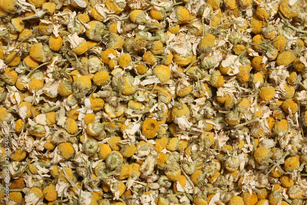 Fiori secchi di camomilla