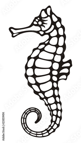 Seahorse